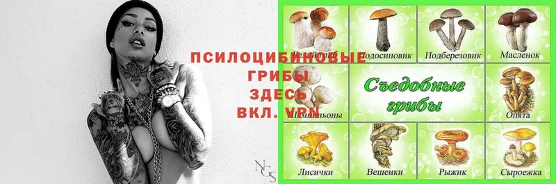 Псилоцибиновые грибы Magic Shrooms  Ишим 